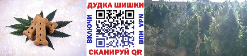 купить наркотики сайты Петухово Cannafood конопля