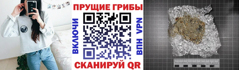 кракен сайт  Петухово  Псилоцибиновые грибы Psilocybe 